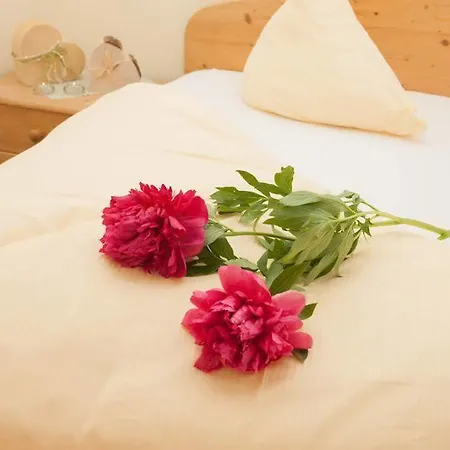 Fortuna Апартаменты Пертизау